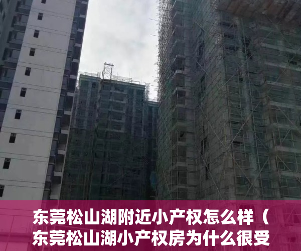 东莞松山湖附近小产权怎么样（东莞松山湖小产权房为什么很受消费者青睐？）