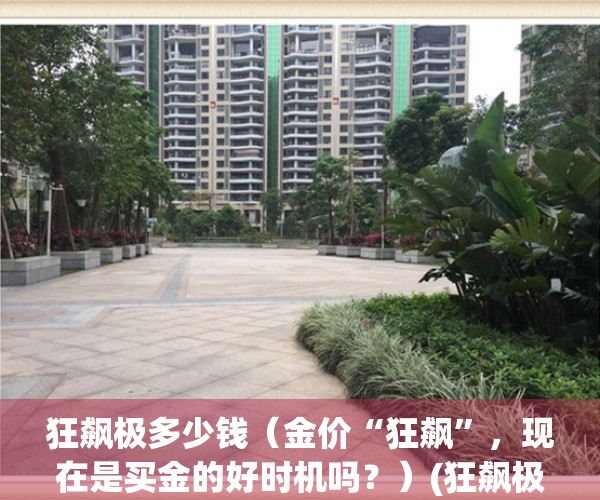 狂飙极多少钱（金价“狂飙”，现在是买金的好时机吗？）(狂飙极用什么胶皮)