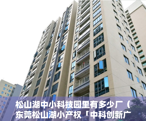 松山湖中小科技园里有多少厂（东莞松山湖小产权「中科创新广场」地铁口）