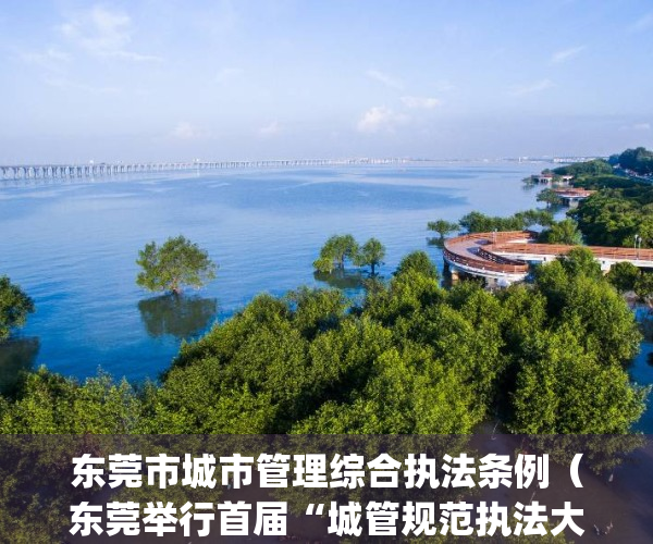 东莞市城市管理综合执法条例（东莞举行首届“城管规范执法大比武”）(东莞市城市综合管理执法局)
