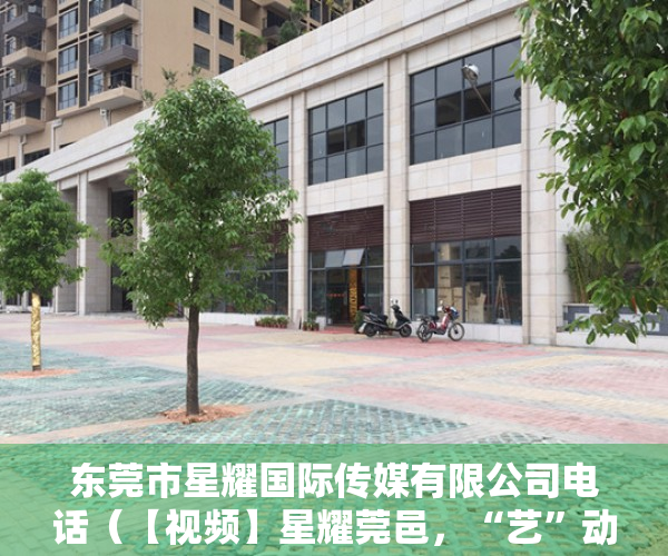 东莞市星耀国际传媒有限公司电话（【视频】星耀莞邑，“艺”动湾区！青年文艺工作者助力大湾区数字传播公益行活动在莞举行）