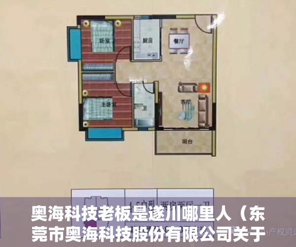 奥海科技老板是遂川哪里人（东莞市奥海科技股份有限公司关于公司董事减持计划期限届满的公告）