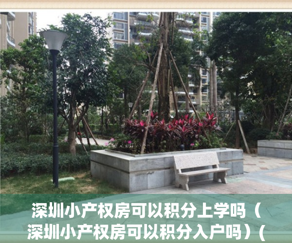 深圳小产权房可以积分上学吗（深圳小产权房可以积分入户吗）(深圳小产权房可以给小孩读书吗)