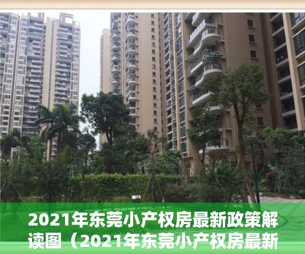 2021年东莞小产权房最新政策解读图（2021年东莞小产权房最新政策解读）