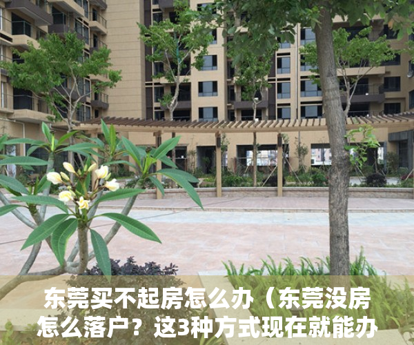 东莞买不起房怎么办（东莞没房怎么落户？这3种方式现在就能办，最快20天落户东莞）