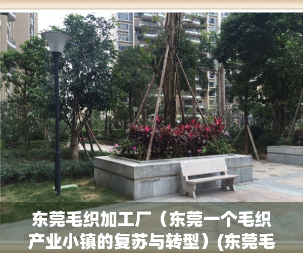 东莞毛织加工厂（东莞一个毛织产业小镇的复苏与转型）(东莞毛织厂招聘最新信息:58同城)