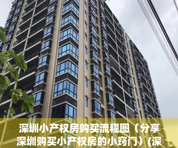 深圳小产权房购买流程图（分享深圳购买小产权房的小窍门）(深圳小产权房如何购买)