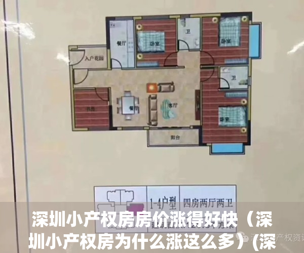 深圳小产权房房价涨得好快（深圳小产权房为什么涨这么多）(深圳小产权房比去年大涨了)