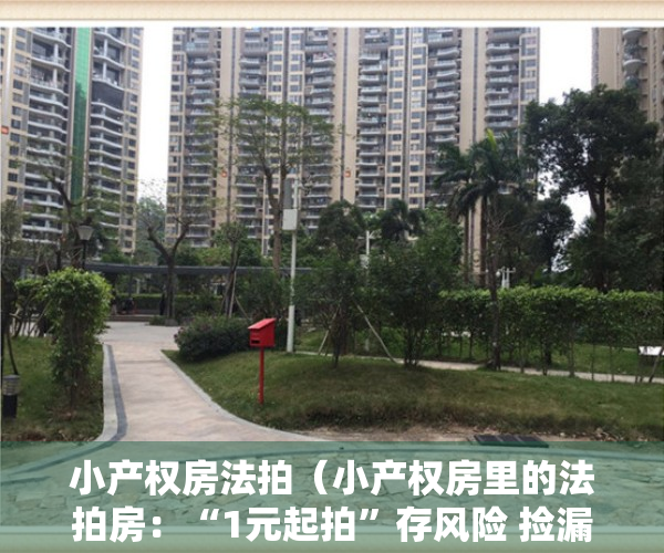 小产权房法拍（小产权房里的法拍房：“1元起拍”存风险 捡漏者须防猫腻）