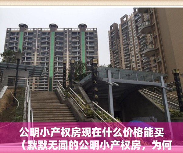 公明小产权房现在什么价格能买（默默无闻的公明小产权房，为何今年涨的最为凶猛？）