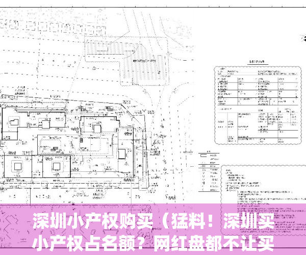 深圳小产权购买（猛料！深圳买小产权占名额？网红盘都不让买了）(深圳小产权房购买须知)