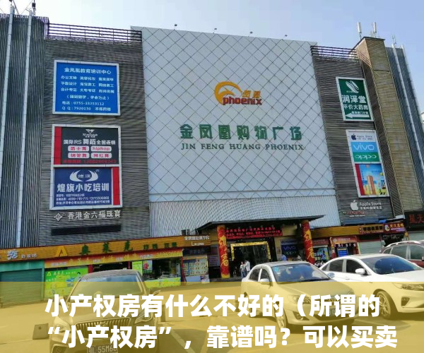 小产权房有什么不好的（所谓的“小产权房”，靠谱吗？可以买卖吗？）(小产权房的利弊)