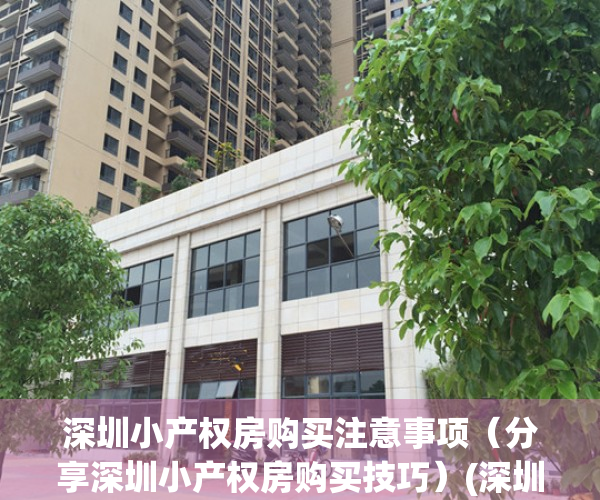 深圳小产权房购买注意事项（分享深圳小产权房购买技巧）(深圳小产权房的购买方式)