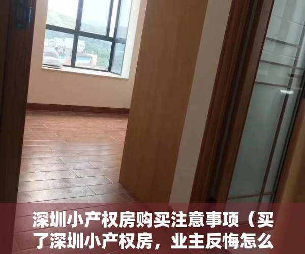 深圳小产权房购买注意事项（买了深圳小产权房，业主反悔怎么办？买卖合同均为有效不得反悔！）