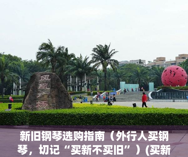 新旧钢琴选购指南（外行人买钢琴，切记“买新不买旧”）(买新钢琴 旧钢琴)