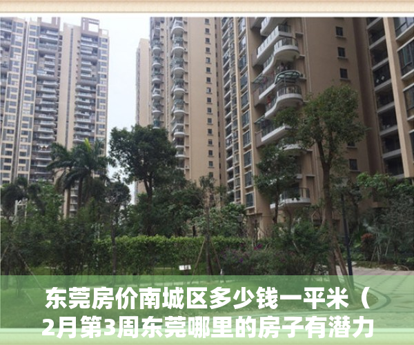 东莞房价南城区多少钱一平米（2月第3周东莞哪里的房子有潜力？看本周南城房价走势）