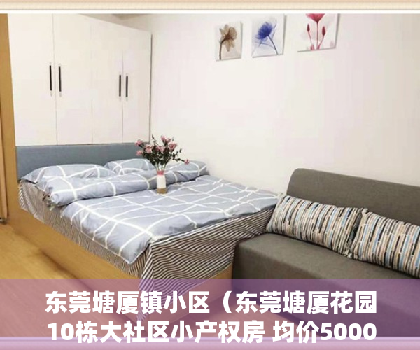 东莞塘厦镇小区（东莞塘厦花园10栋大社区小产权房 均价5000）