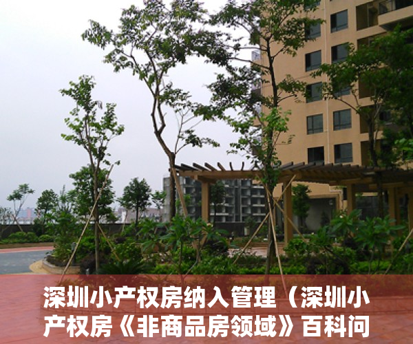 深圳小产权房纳入管理（深圳小产权房《非商品房领域》百科问答，外行人不告诉你的秘密）