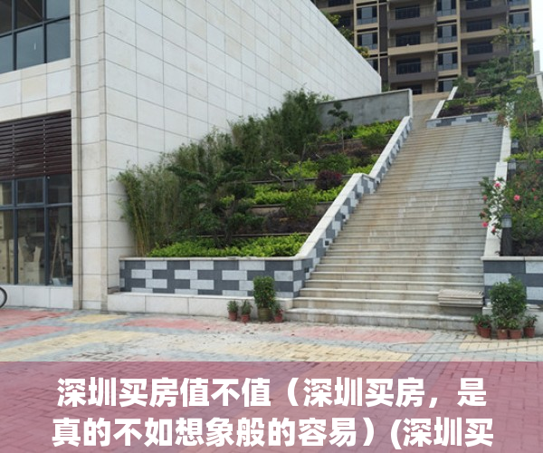 深圳买房值不值（深圳买房，是真的不如想象般的容易）(深圳买房值得吗)