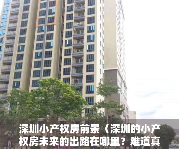 深圳小产权房前景（深圳的小产权房未来的出路在哪里？难道真的要让它的消失不见吗？）