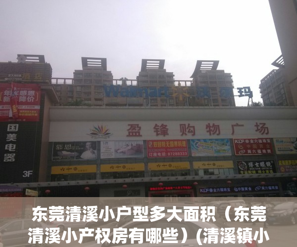 东莞清溪小户型多大面积（东莞清溪小产权房有哪些）(清溪镇小产权房价格)