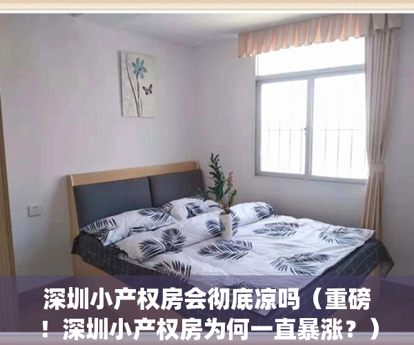 深圳小产权房会彻底凉吗（重磅！深圳小产权房为何一直暴涨？）(深圳小产权房现状)