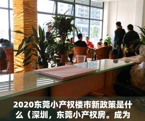 2020东莞小产权楼市新政策是什么（深圳，东莞小产权房。成为打工人最后的上车的机会？）