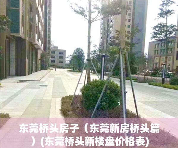 东莞桥头房子（东莞新房桥头篇）(东莞桥头新楼盘价格表)
