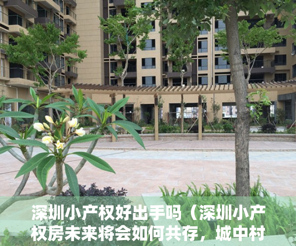 深圳小产权好出手吗（深圳小产权房未来将会如何共存，城中村又是一种怎样的存在？）