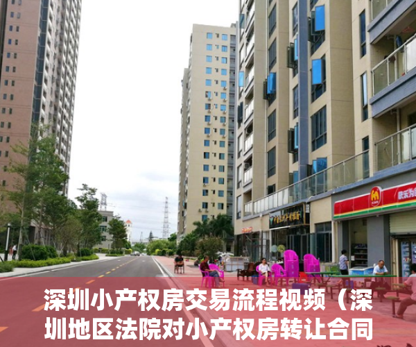 深圳小产权房交易流程视频（深圳地区法院对小产权房转让合同效力认定的态度演变及法律困境）