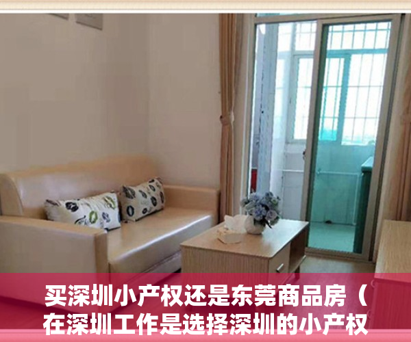 买深圳小产权还是东莞商品房（在深圳工作是选择深圳的小产权还是临深的东莞商品房？）