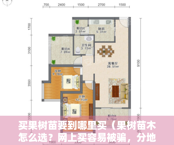 买果树苗要到哪里买（果树苗木怎么选？网上买容易被骗，分地域购买，认清发货地址）