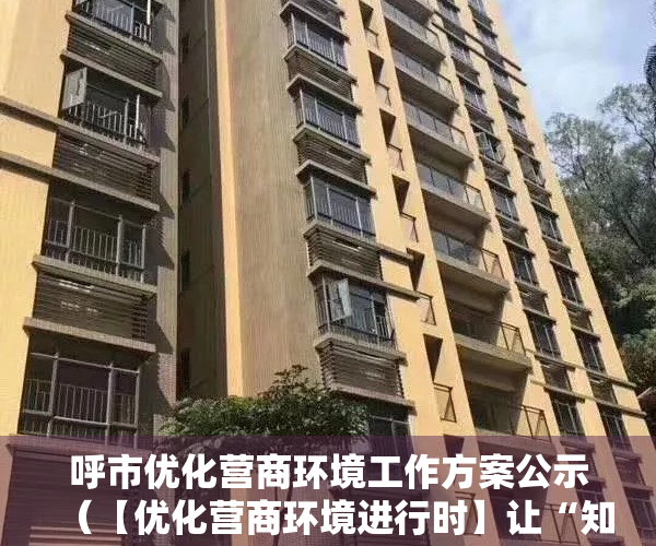呼市优化营商环境工作方案公示（【优化营商环境进行时】让“知产”变“资产” 呼和浩特市进一步推动中小微企业开展知识产权质押融资工作）