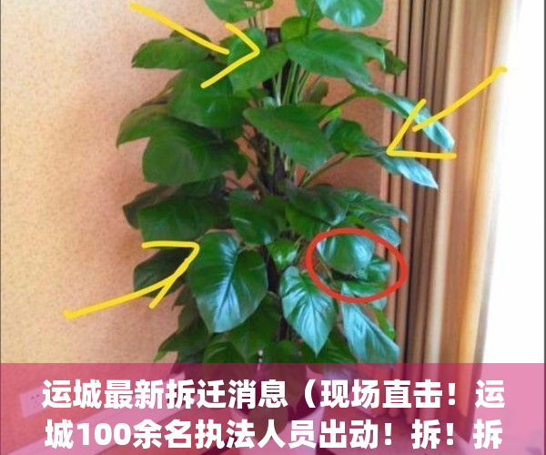 运城最新拆迁消息（现场直击！运城100余名执法人员出动！拆！拆！拆！）(山西运城哪里拆迁)