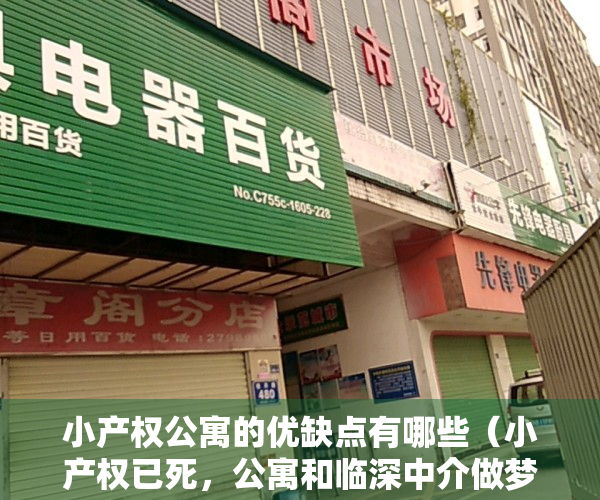 小产权公寓的优缺点有哪些（小产权已死，公寓和临深中介做梦要笑醒！？）