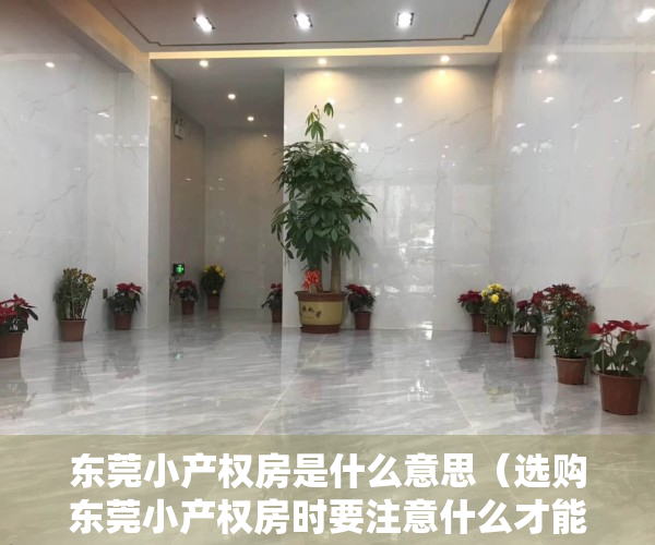 东莞小产权房是什么意思（选购东莞小产权房时要注意什么才能避免损失？）