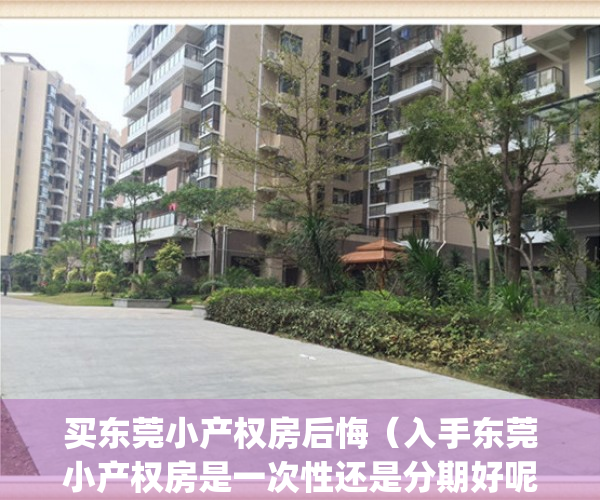 买东莞小产权房后悔（入手东莞小产权房是一次性还是分期好呢？）(东莞小产权房占比多少)