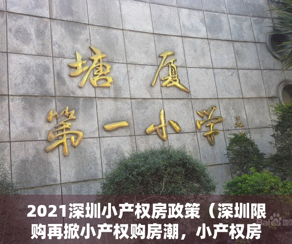 2021深圳小产权房政策（深圳限购再掀小产权购房潮，小产权房有哪些种类？小产权房升值前景好吗？）