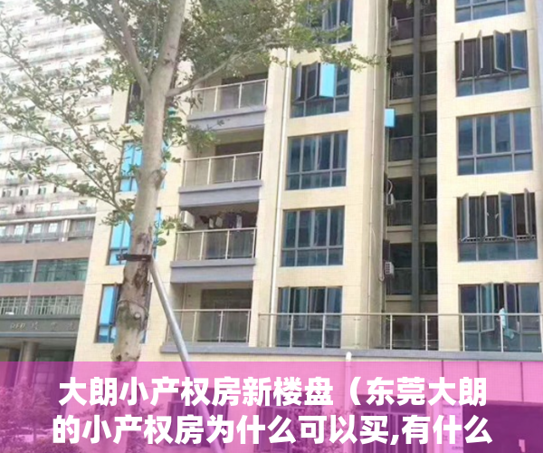 大朗小产权房新楼盘（东莞大朗的小产权房为什么可以买,有什么优势）