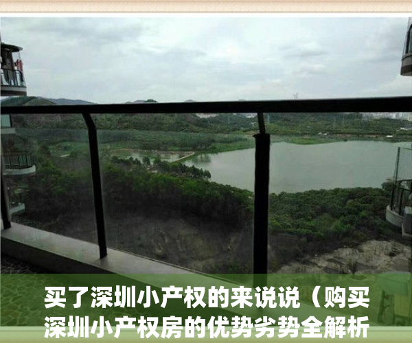 买了深圳小产权的来说说（购买深圳小产权房的优势劣势全解析）(深圳买小产权房感受)