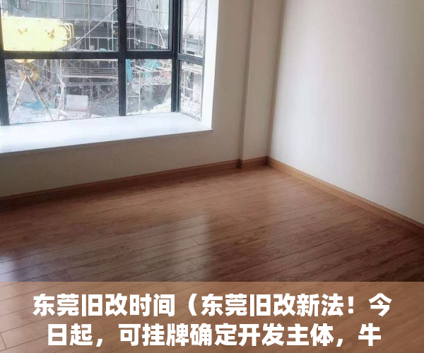 东莞旧改时间（东莞旧改新法！今日起，可挂牌确定开发主体，牛过前期服务商）
