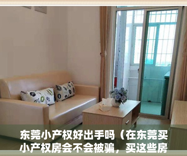 东莞小产权好出手吗（在东莞买小产权房会不会被骗，买这些房需要注意些什么？）