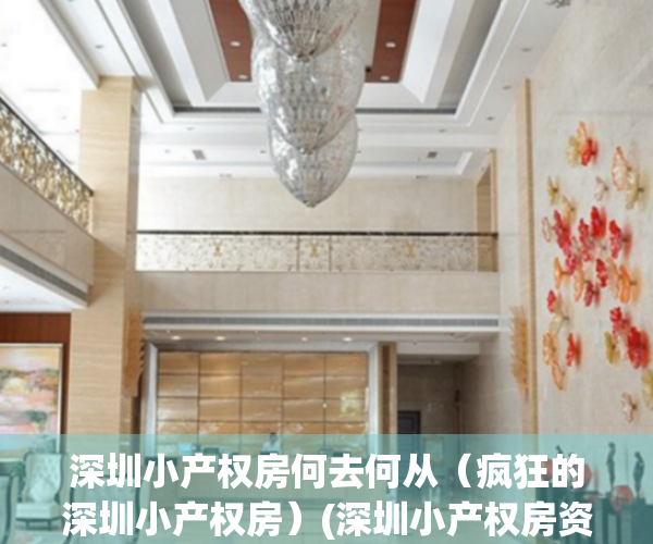 深圳小产权房何去何从（疯狂的深圳小产权房）(深圳小产权房资讯)