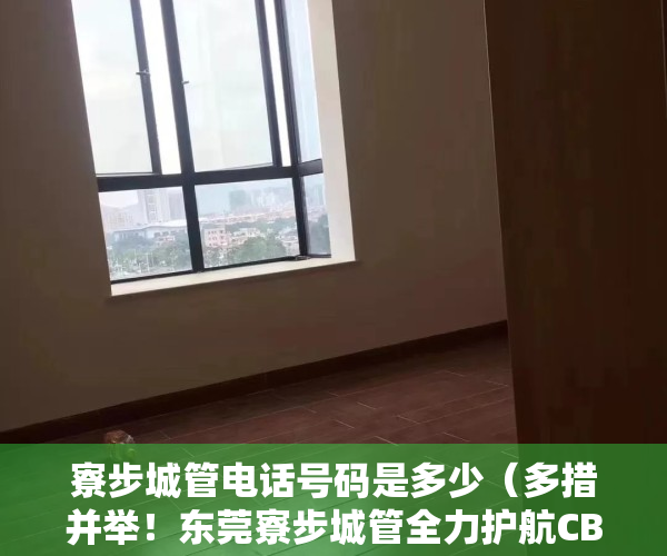 寮步城管电话号码是多少（多措并举！东莞寮步城管全力护航CBA主场赛事）