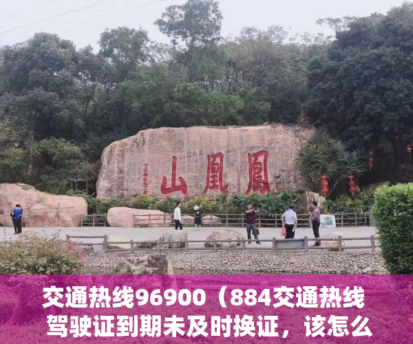 交通热线96900（884交通热线  驾驶证到期未及时换证，该怎么办？）