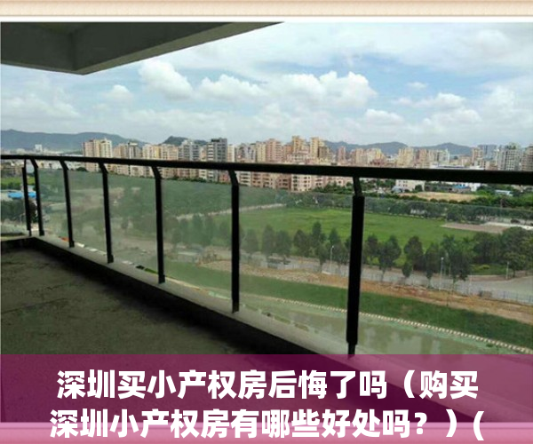 深圳买小产权房后悔了吗（购买深圳小产权房有哪些好处吗？）(深圳买小产权房注意事项)