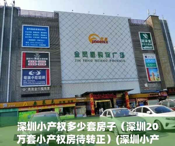 深圳小产权多少套房子（深圳20万套小产权房待转正）(深圳小产权房有多少)