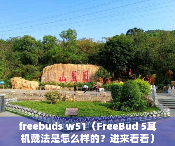 freebuds w51（FreeBud 5耳机戴法是怎么样的？进来看看）