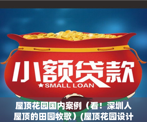 屋顶花园国内案例（看！深圳人屋顶的田园牧歌）(屋顶花园设计与案例解析)