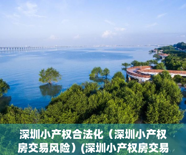 深圳小产权合法化（深圳小产权房交易风险）(深圳小产权房交易合法性)